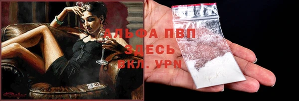 стафф Заводоуковск