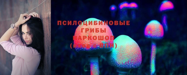 стафф Заводоуковск