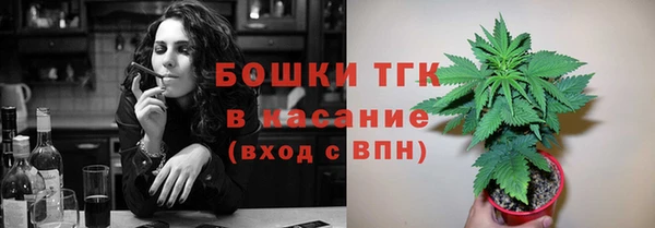 стафф Заводоуковск
