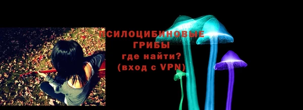 молекула духа Заволжск
