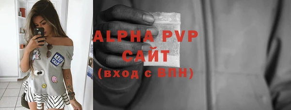 стафф Заводоуковск
