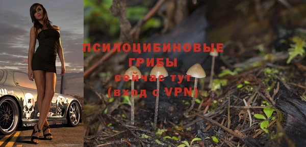 стафф Заводоуковск
