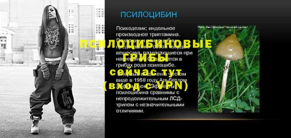 стафф Заводоуковск