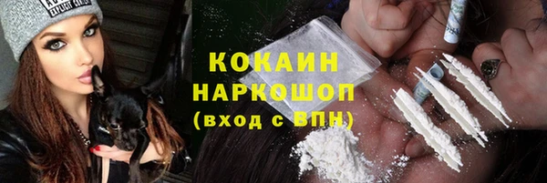 стафф Заводоуковск